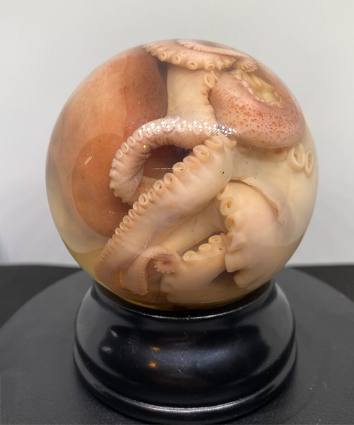 Real Octopus Glass Globe